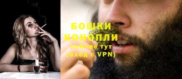индика Надым