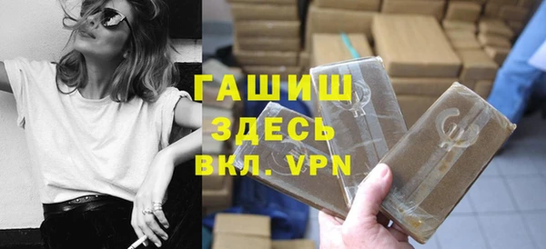 индика Надым