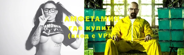 индика Надым