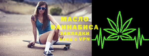 индика Надым