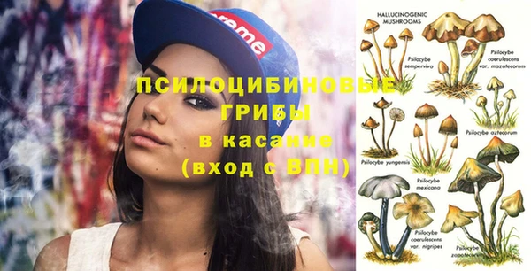 гидра Михайловка