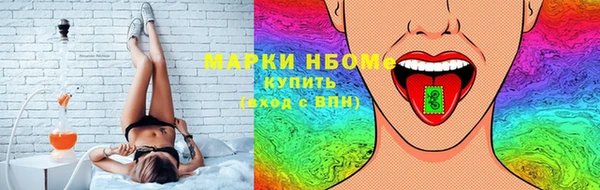индика Надым