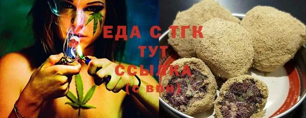 индика Надым