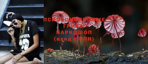 индика Надым