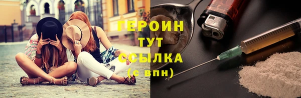 индика Надым