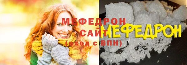 индика Надым